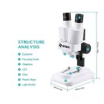 میکروسکوپ زیتازی دانش آموزی دوچشمی مدلBioLoop x20 - Image 3