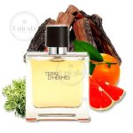 تق هرمس (Terre d’Hermès) - Image 2