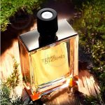 تق هرمس (Terre d’Hermès) - Image 4