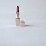 رژلب استیلادر