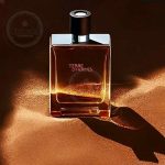 تق هرمس (Terre d’Hermès) - Image 3