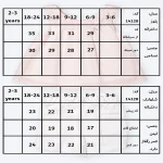 بلوز و شلوارک دخترانه طرح آینور کد 14128 - Image 4
