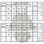 دوبنده و تیشرت دخترانه با تل طرح الینا کد 14134 - Image 4