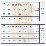 پیراهن و شلوارک پسرانه طرح راما کد 14232 - Image 4
